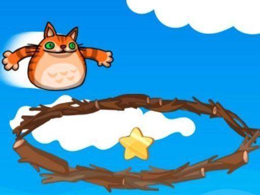 Star Collector Cat