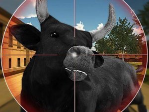 Bull Shooting Online Game