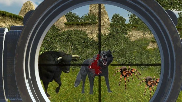 Jungle Track: Precision Observation Game