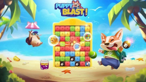 Puppy Match Puzzle Adventure