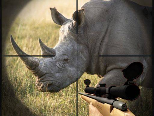 Safari Rhino Adventure