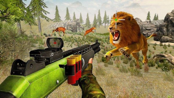 Safari Observation Arcade Game