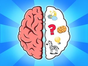 Brain Puzzle Challenge - Ludoryx free online game