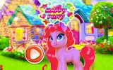 Horse Grooming & Fashion Studio